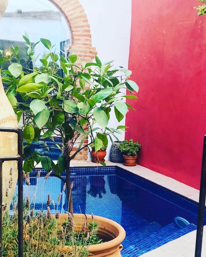 Casa Aire De Lecrin Bed & Breakfast Pinos del Valle Екстериор снимка